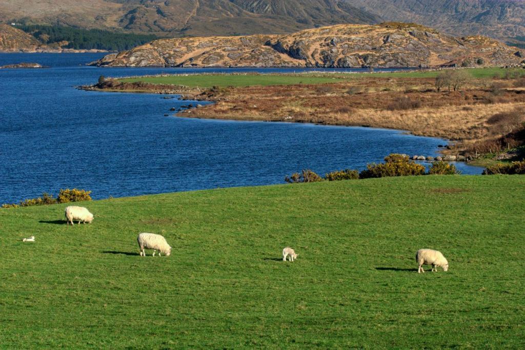 Отель Lakelands Farm House Вотавилле Экстерьер фото